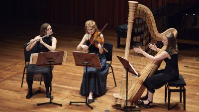Flute, violin and harp trio